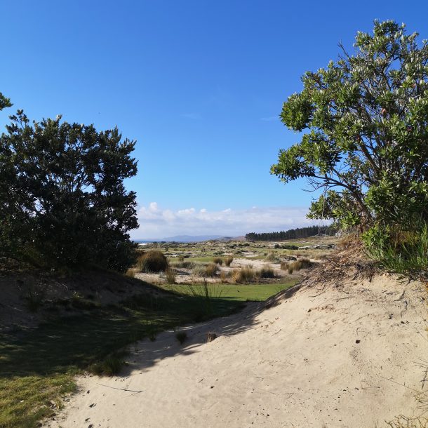 View through to a coastal golf course by an Abri Architects designed home.